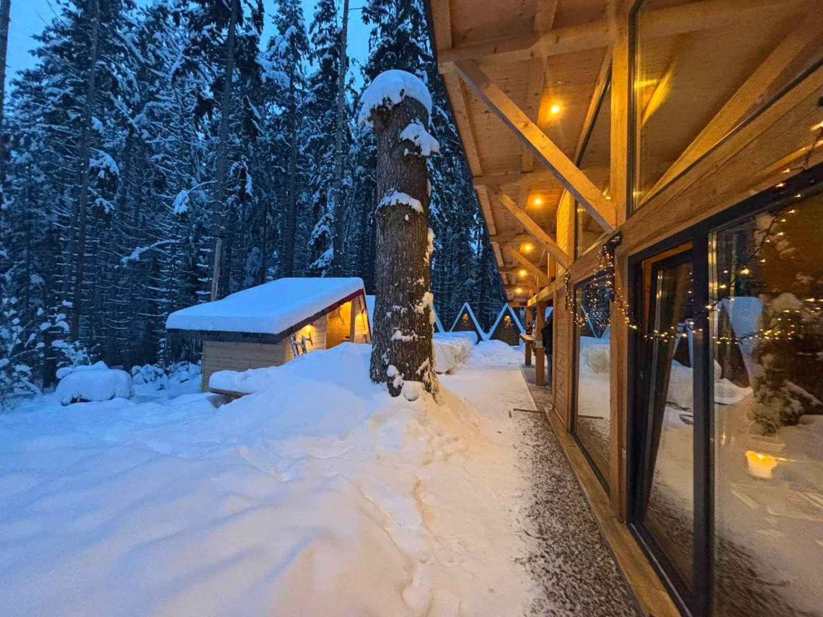 Hotel Algara Hut à Panichishte Extérieur photo
