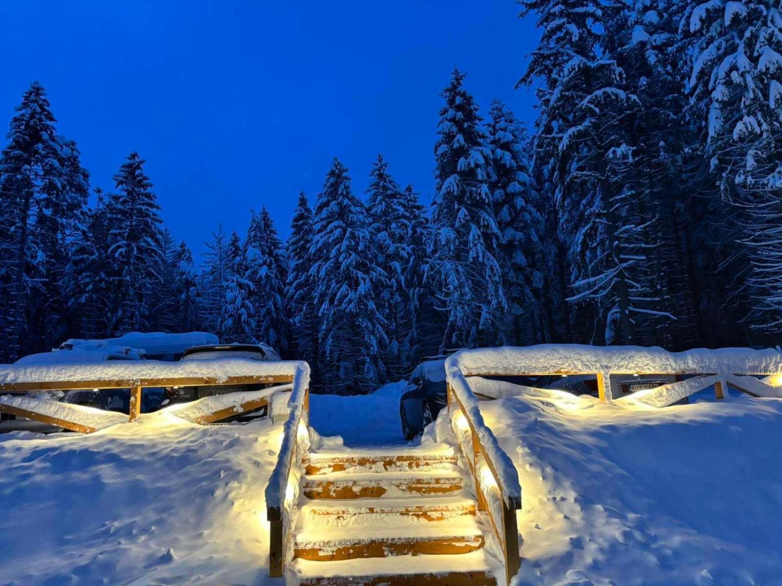 Hotel Algara Hut à Panichishte Extérieur photo